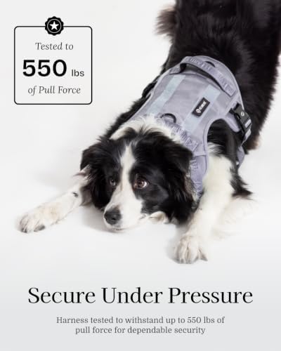 Fei & Eve Classic Dog Harness