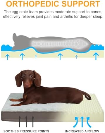 KSIIA Orthopedic Dog Bed for Small Dogs with Waterproof Lining, Grey, 21x13