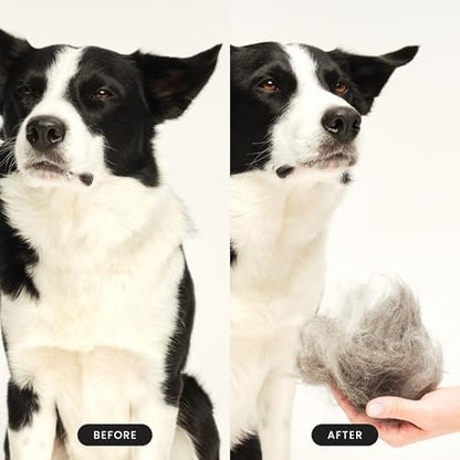 Pet Teezer De-Shedding Dog Brush for Long Hair Breeds, Large, Blue & Pink