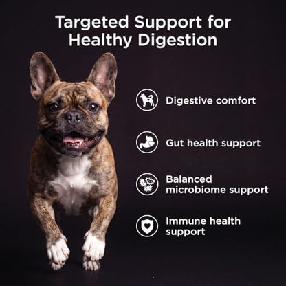 Go! Solutions Digestion + Gut Health Chicken Dry Dog Food, 12 lb