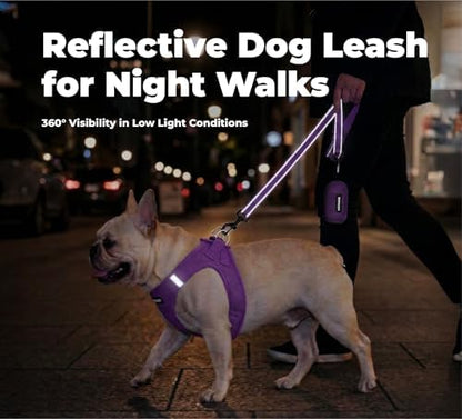 Best Pet Supplies Voyager Nylon Dog Leash - Purple, Small