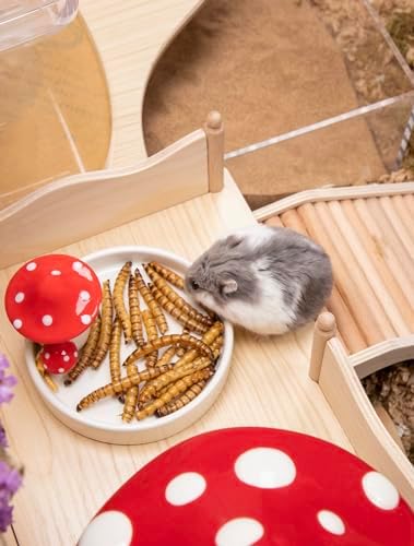 Niteangel Small Animal Snack & Treats - Dried Worms & No Additive