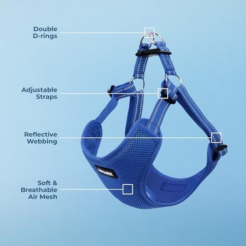 Voyager Step-in Flex Adjustable Dog Harness - Royal Blue, Small