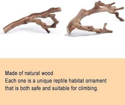 BNOSDM 2PCS Reptile Wood Branches Decor,Lizard Habitat Natural Wood Decoration,Snake Climbing Branch Accessories,Terrarium Tree Trunk Ornament for Bearded Dragon Gecko Frog Chameleon Spider