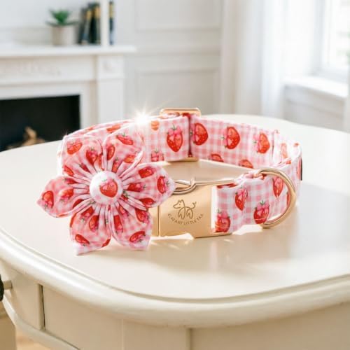 Elegant little tail Dog Collar with Flower, Pink Gingham Plaid with Strawberry Print Summer Girl Pet Collars Cute Puppy Collar Adjustable Collars for Small Medium Large Dogs, Summer Party, XS