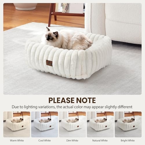 Cute Dog Bed for Small Dogs & Cats,Washable Fluffy Cat Beds for Indoor Cats, Rectangle Orthopedic Memory Foam Puppy Beds with Anti-Slip Bottom, 20 x19 x 6 Inches, Cream (20x19x6 inches)
