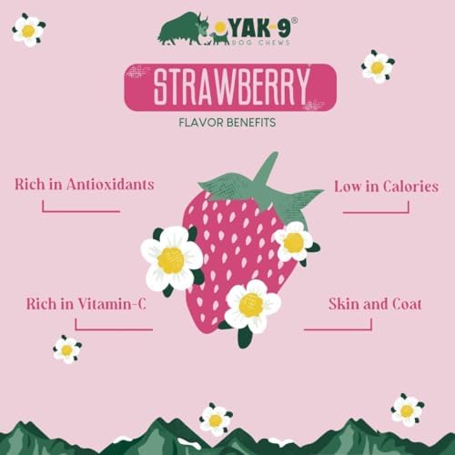 Yak9 Himalayan Yak Cheese Dog Chews, Blueberry | High Protein, Non Rawhide Dog Chews Long Lasting | Non GMO, Gluten Free, Grain Free Yak Milk Dog Chew | Medium Size (Breeds 15-30 Lbs), 2 PC