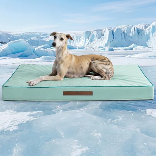 Cooling Dog Beds Large Sized Dog, Extra Large Comfy Flat Puppy Beds with Removable Washable Cover, 44 x 32 Inch Orthopedic Egg Crate Foam Pet Mat, Suitabe for Pet Up to 100 lbs, Light Aqua