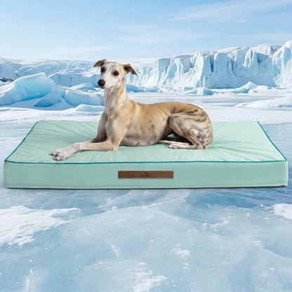Cooling Dog Beds Large Sized Dog, Extra Large Comfy Flat Puppy Beds with Removable Washable Cover, 44 x 32 Inch Orthopedic Egg Crate Foam Pet Mat, Suitabe for Pet Up to 100 lbs, Light Aqua
