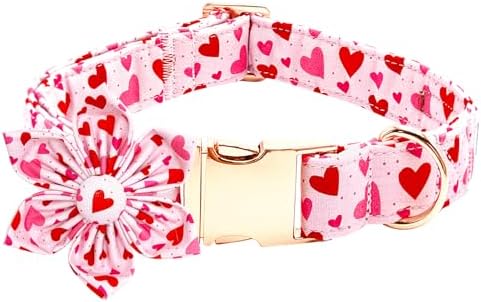 Valentine's Red Heart Dog Collar with Flower for X-Large Dogs