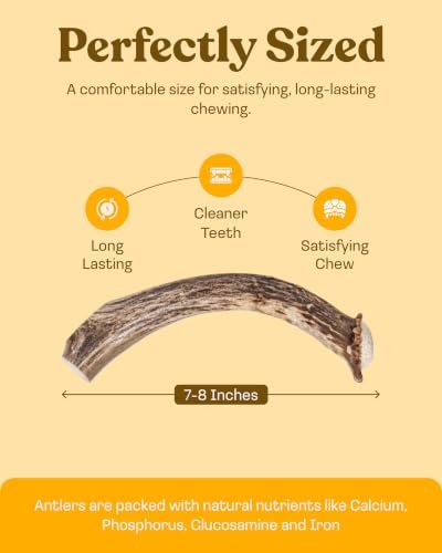 Mountain Valley Deer Antlers for Dogs Naturally Shed Dog Antler, Jumbo