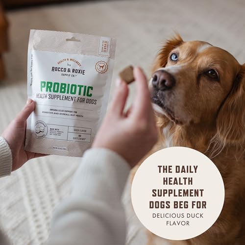 Rocco & Roxie Dog Probiotics, Gut & Digestive Health Chews, 60ct