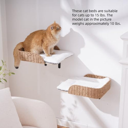 SHENGOCASE 2-Pack Wooden Cat Wall Bed with 3 Steps