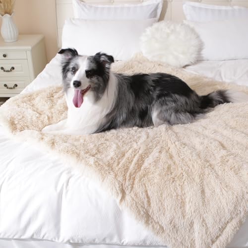 gogobunny Waterproof Dog Blanket for Couch & Furniture Protection - Super Soft Reversible Throw for Large Dogs & Cats, Calming Washable Fur & Sherpa Pet Blanket (50x60 Inch, Beige)