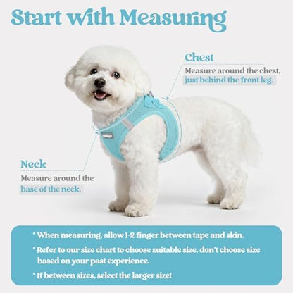 rabbitgoo Dog Harness Small Sized and Leash Set, Step-in Puppy Pet Vest