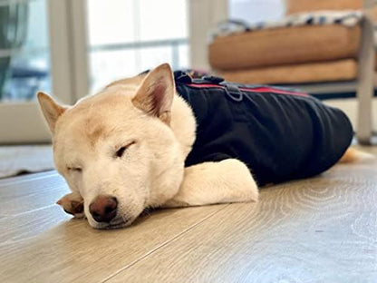 Gooby Zip-Up Fleece Dog Sweater, Black, Medium