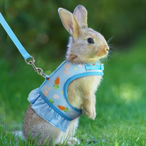 Bunny Harness and Leash, Guinea Pig Clothes Ferret Rabbit Harnesses, Blue M