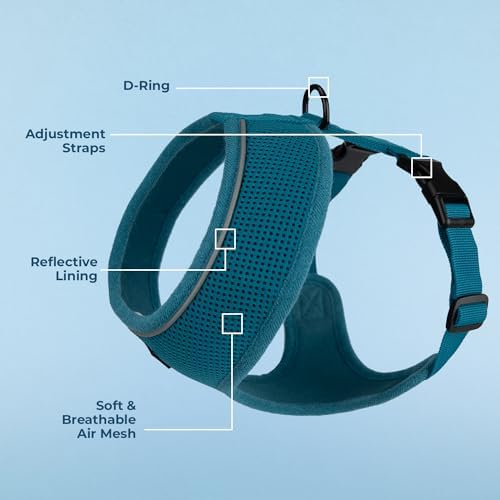 Best Pet Supplies Voyager Aerolite Over the Head Dog Harness, No Pull Breathable Air Mesh Vest, Quick Dry with Reflective Stitching, Adjustable Escape Resistant Harness - Turquoise, Large