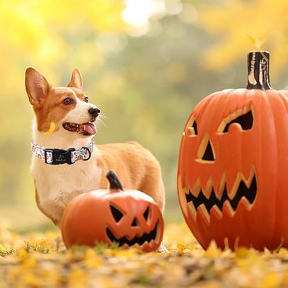 Fall Dog Collar, Cute Orange Pumpkin Pattern Puppy Collar XS