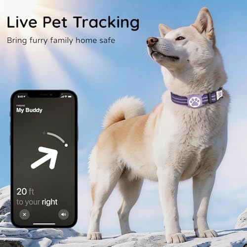 Waterproof AirTag Dog Collar with QR Code Dog Tag, Purple M
