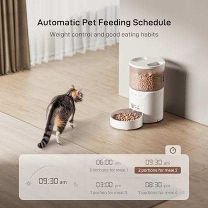 IMIPAW PET Automatic Cat Feeder: 3L Auto Food Dispenser with Timed Feeding| 6 Meal Programmable& 1-20 Portion Precise Control- Easy to Clean & Setup for Cat Indoor| Desiccant Bag Keep Food Fresh
