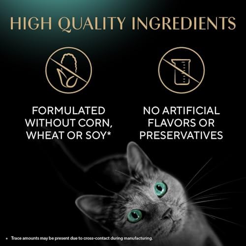 Sheba Meaty Tender Sticks Chicken Cat Treats, Chicken Flavor, Cat Snacks, 0.14 oz., 5 Count (Pack of 20)