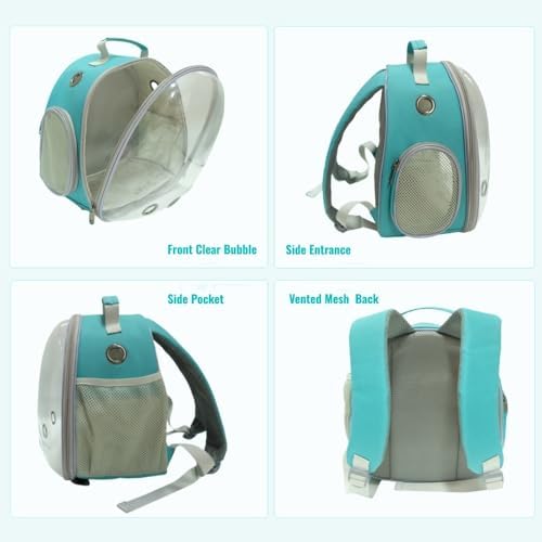 Small Animal Carrier Guinea Pig Backpack,Transparent, Breathable Backpack Carrier for Hedgehogs, Rabbits, Birds, Squirrels, Hamsters, Lizards Comfortable, Portable Travel Bag for Small Pets (Green)