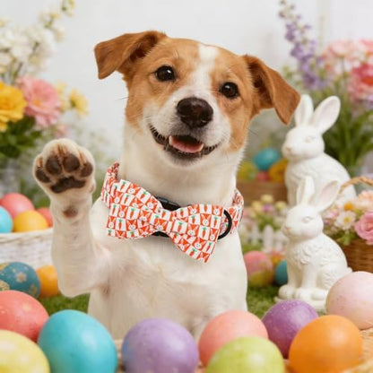 Dog Collars, Easter Carrot Rabbit Print Cotton Collar Holiday Adjustable Light Plastic Buckle Collar with Bow Pet Collar Gift for Medium Dogs