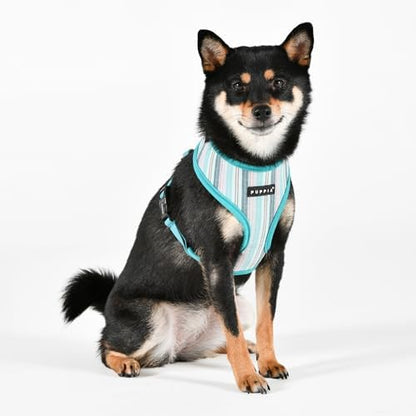 Puppia Theros Dog Harness A (Over-The-Head) Fashionable Striped Pattern Spring Summer Harness for Small and Medium Dogs, Aqua, Small