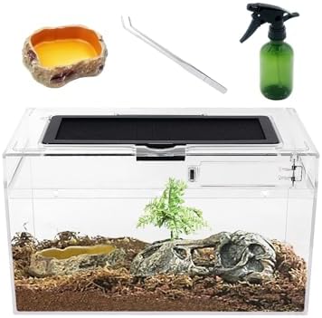 Mini Reptile Terrarium Set,11.8" x 7"x 6" Low Reptile Tank with Full View Visually Appealing，for Insect，Fish，Tarantula，Hermit Crab，Jumping Spider，Iguana，Tortoise，Leopard Gecko，Frog，Bearded Dragon