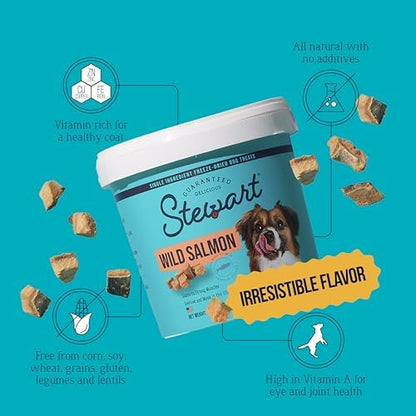 Stewart Freeze Dried Dog Treats, 100% Wild Salmon, 9.5oz Tub (2 Pack)