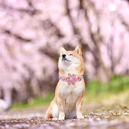 Dog Collar Cute Pink Flowers Print Pet Collar Soft Girl Dog Collar with Flower Adjustable Metal Buckle Collar Gift Collar for X-Large Dogs