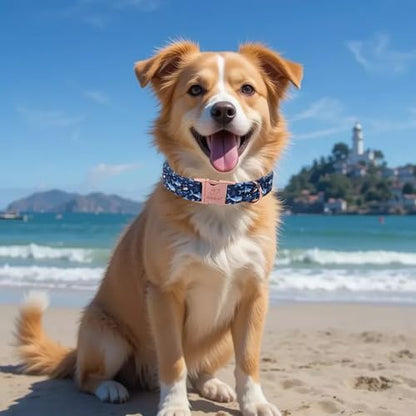Summer Dog Collar, Cute Cartoon Sharks Dog Collars - Soft Adjustable Everyday Collars for Small Medium Large Dogs, Durable Metal Buckle Male Dogs Collar L