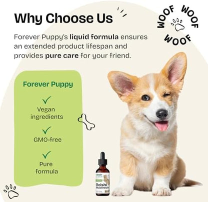Forever Puppy Reishi Mushroom for Dogs - Immune Support - 2 oz