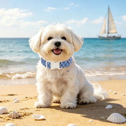 Lionet Paws Blue Dog Collar Summer Anchor Collars with Cute Anchores Pattern Pendant - Male Boy Dog Collar for Small Medium Dogs XS