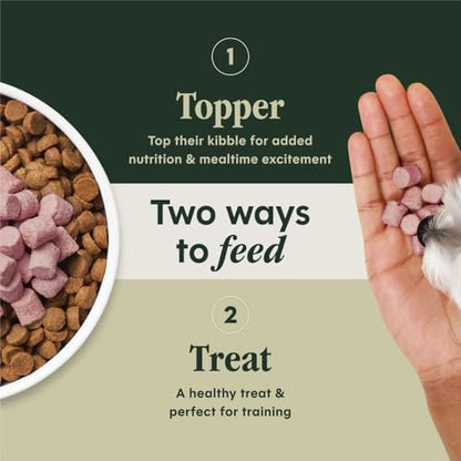 Raw Boost Mixers Skin & Coat Health Freeze-Dried Dog Food Topper, 12.5 oz. Bag
