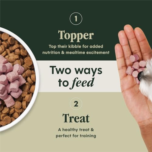 Raw Boost Mixers Skin & Coat Health Freeze-Dried Dog Food Topper, 5.5 oz. Bag