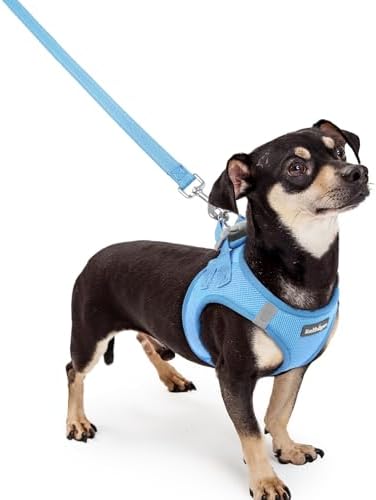 rabbitgoo Dog Harness Small Sized and Leash Set, Step-in Puppy Pet Vest