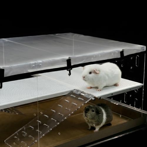 GuineaLoft™ Model-A3Loft 2-Level Acrylic Guinea Pig Cage w/Loft