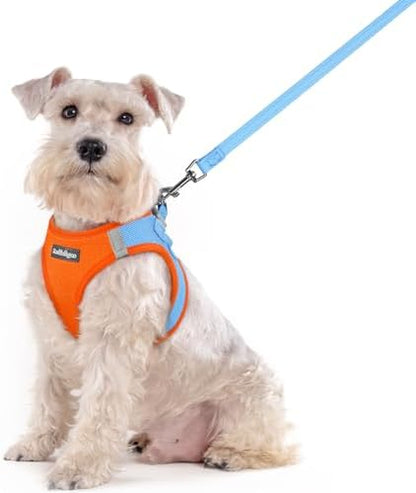rabbitgoo Dog Harness Medium Sized and Leash Set, Step-in Puppy Pet Vest