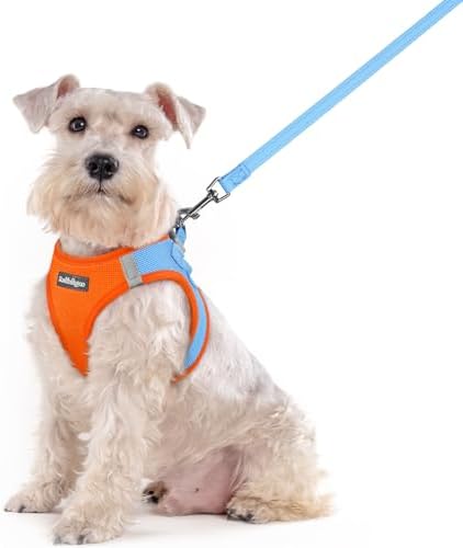 rabbitgoo Dog Harness Medium Sized and Leash Set, Step-in Puppy Pet Vest