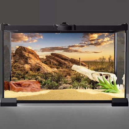 48x24 in Desert Reptile Habitat Backdrop Oasis Cactus Terrarium Background