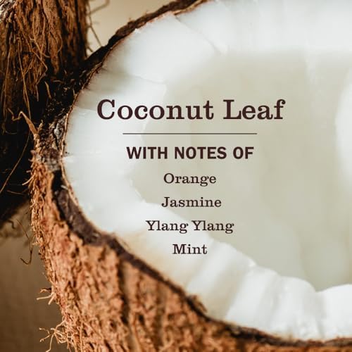 MRS. MEYER'S CLEAN DAY Pet Cleaning Kit, Coconut Leaf, 28 fl oz, 2 Pack