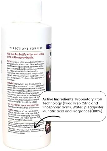 Show Out Skin & Scratches Prevention Pack - Fast Relief and Prevention for Horse Care. Use on Equine Scratches/Mud Fever, Girth Itch, Mange, Rain Rot & Other Skin Issues on Horses w/Empty Spray Bottle