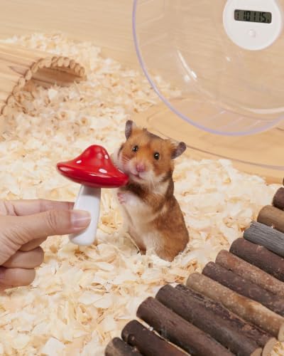 Niteangel Hamster Chew & Decor Toys: Pack of 2 Mushroom-Shape & Beech Wood