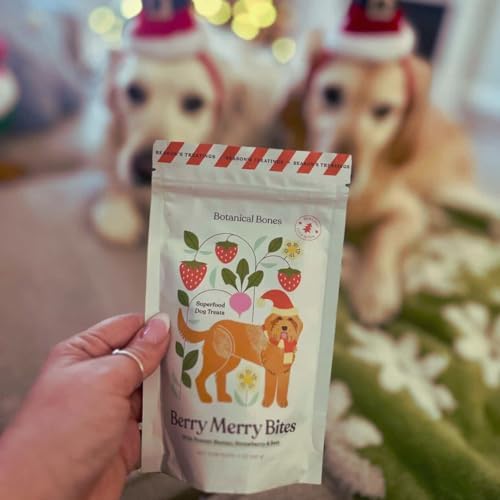 Berry Merry Organic Dog Treats – Vegan, Wheat-Free, Peanut Butter Heart Crunchy Cookies – Holiday Dog Treats, All-Natural & Baked in USA, Pumpkin, Peanut Butter, & Strawberry – 5oz (2-Pack)
