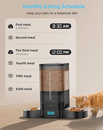 HoneyGuaridan 5L Automatic Cat Feeder for 2 Cats,Timed Dry Food Cat Feeder