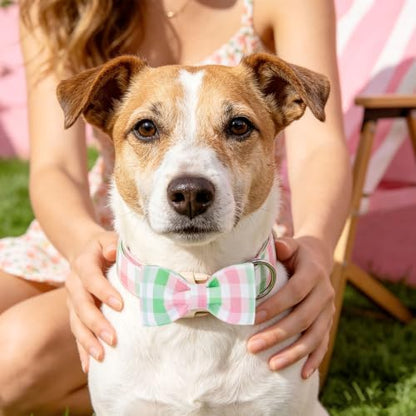 Pink Green Gingham Plaid Dog Collar with Bow for X-Small Dogs