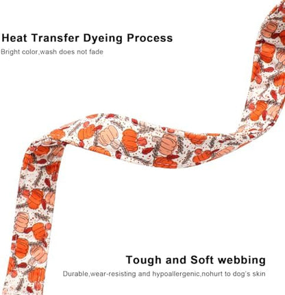 Lionet Paws Fall Dog Collar- Cute Orange Pumpkin White Dog Collars with Plastic Buckle and Pumpkin Pendant, Light Adjustable Dog Collars for Medium Dogs