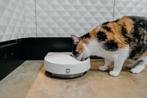 Cat Mate 5-Meal Automatic Pet Feeder, 330g per Bowl, Wet & Dry Food, White